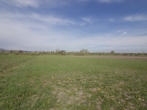 Bild - 3900 m2 Baugrundstück in Laxenburg
