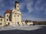 Bild - 3900 m2 Baugrundstück in Laxenburg